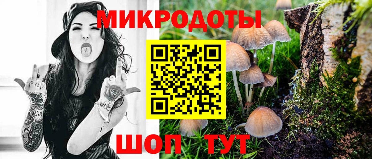 магазин    Вход с VPN  Владикавказ  Псилоцибиновые грибы Cubensis 